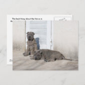 一日ずつ... ポストカード (正面/裏面)