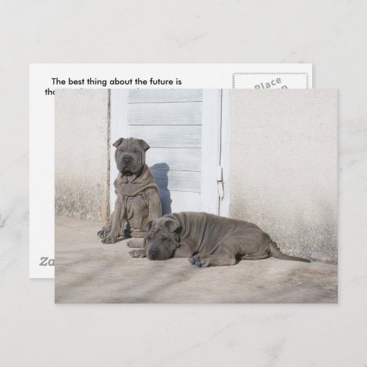 一日ずつ... ポストカード (正面/裏面)