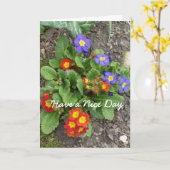 一日に良い花壇がある カード (黄色い花)