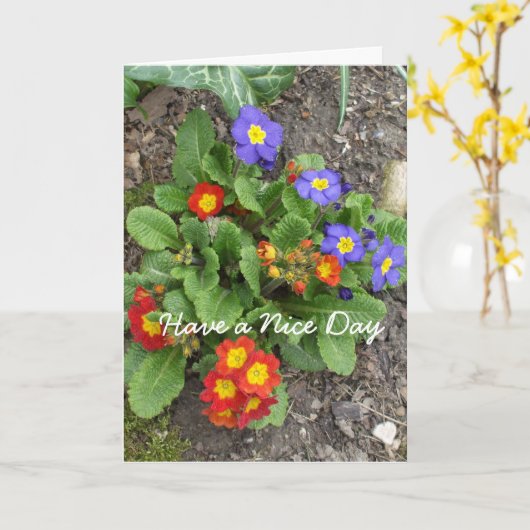 一日に良い花壇がある カード (黄色い花)