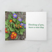 一日に良い花壇を持っている カード (内部)