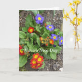 一日に良い花壇を持っている カード (黄色い花)