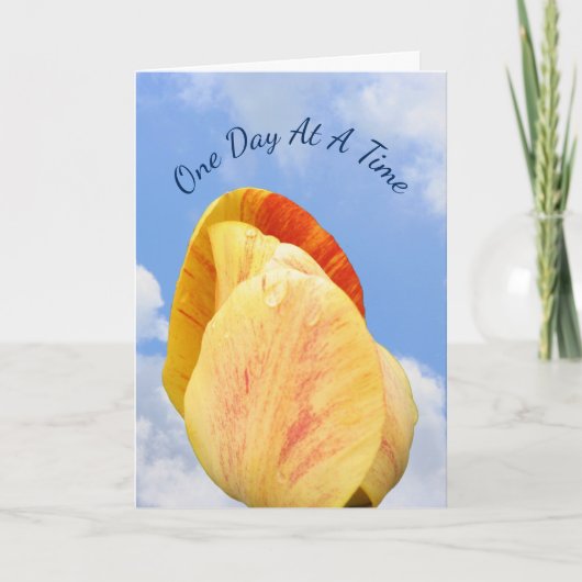 一日一度にチューリップの花を咲かせ感動的る  カード (正面)