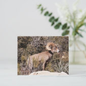 一時的な一時停止 ポストカード (スタンド正面)