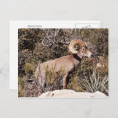 一時的な一時停止 ポストカード (正面/裏面)