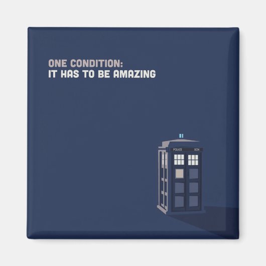 一条件磁石 マグネット (正面)