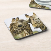 一流のキリンはアラビアの単語から得られます コースター (左側)