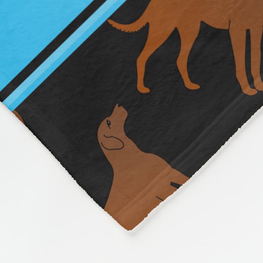 一流の黒いチェサピーク・ベイ・レトリーバー犬 フリースブランケット (角)