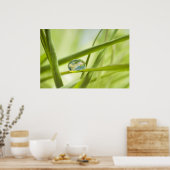 一滴の地球 ポスター (キッチン)