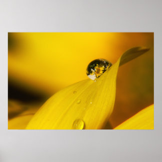 一滴の夏 ポスター