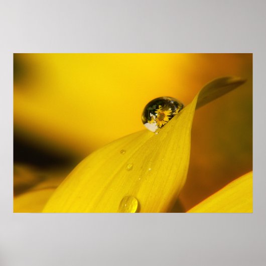 一滴の夏 ポスター (正面)