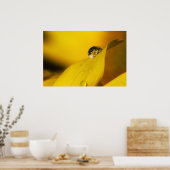 一滴の夏 ポスター (キッチン)