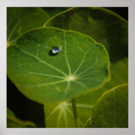 一滴の生命 ポスター