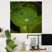 一滴の生命 ポスター (ホームオフィス)