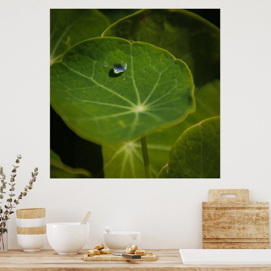 一滴の生命 ポスター (キッチン)