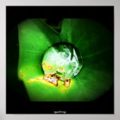 一滴 ポスター (正面)