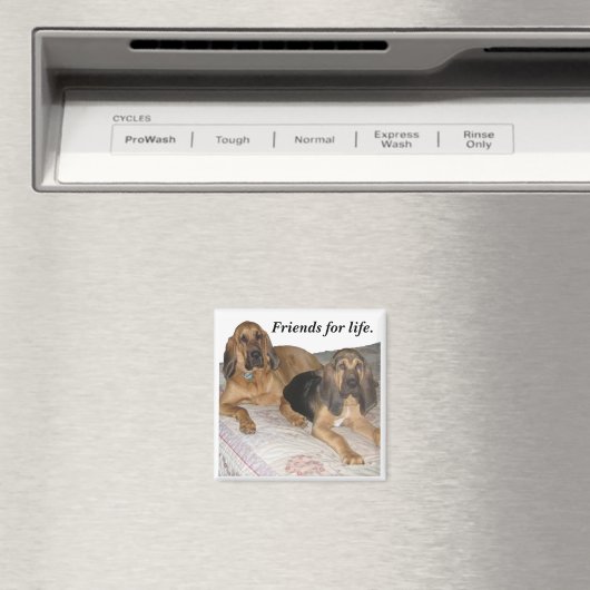 一生の友達。 マグネット (インサイチュ (食洗機))