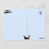 一番かわいい子ネコへのチトー・バンディト ポストカード (裏面)