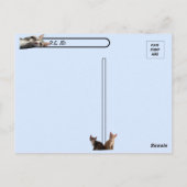 一番かわいい子猫のためのTito Bandito ポストカード (裏面)