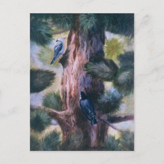 一目惚れ ポストカード (正面)