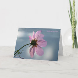 一瞬を捕まえろ! カード