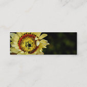 一種のヒマワリ スキニー名刺 (裏面)