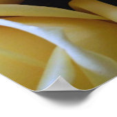 一種の愛の一つ,ユニーク美しいピンクのローズイエロー ポスター (角)