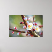 一組の日本梅の花の花束 キャンバスプリント (正面)