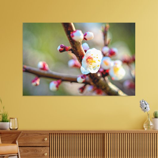 一組の日本梅の花の花束 キャンバスプリント (インサイチュ (リビング))