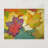 一緒にいて嬉しい ポストカード (正面)