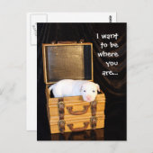 一緒にいて… ポストカード (正面/裏面)