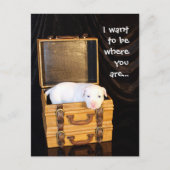 一緒にいて… ポストカード (正面)