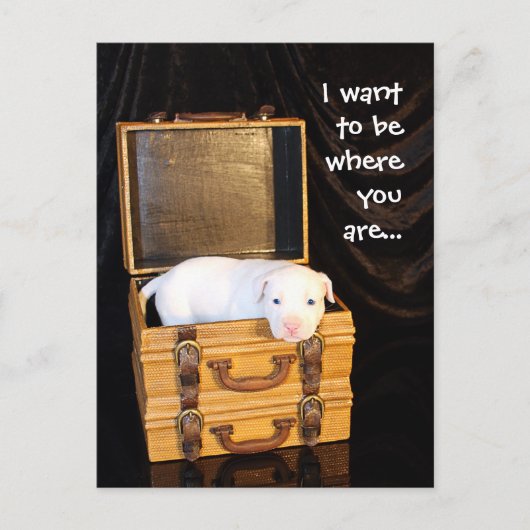 一緒にいて… ポストカード (正面)