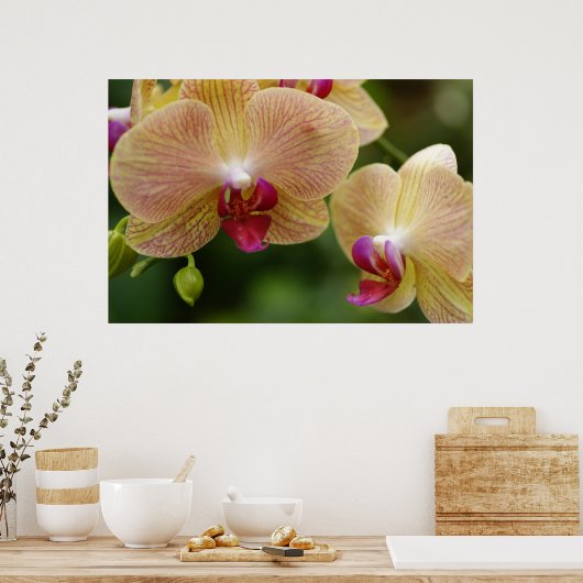 一緒にいよう ポスター (キッチン)