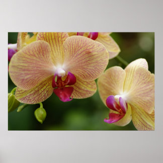 一緒にいよう ポスター