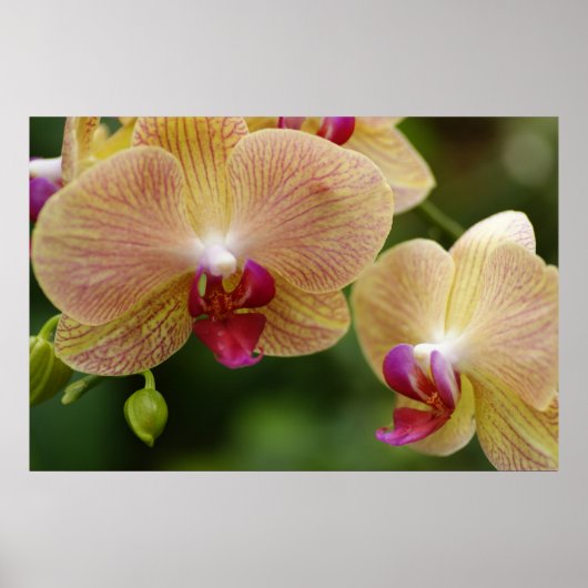 一緒にいよう ポスター (正面)