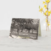 一緒にいると愛してるよ グリーティングカード (黄色い花)