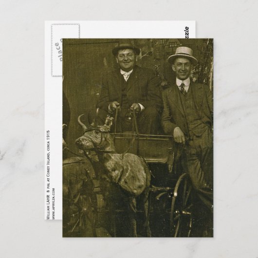 一緒に乗るなんて素敵な天気だ！ ポストカード (正面/裏面)