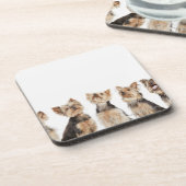 一緒に坐っている同一の犬 コースター (左側)