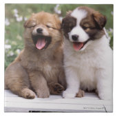 一緒に坐っている2匹の子犬 タイル (正面)