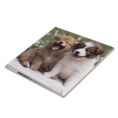 一緒に坐っている2匹の子犬 タイル (側面)