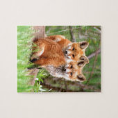 一緒に坐る愛らしいアカギツネのキットの写真 ジグソーパズル (横)