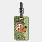 一緒に坐る愛らしいアカギツネのキットの写真 ラゲッジタグ (正面縦)