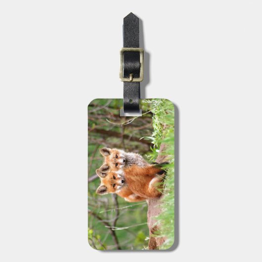 一緒に坐る愛らしいアカギツネのキットの写真 ラゲッジタグ (正面縦)