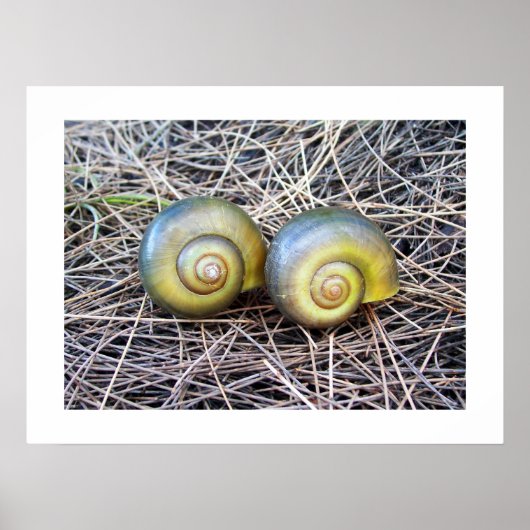 一緒に暖かい ポスター (正面)