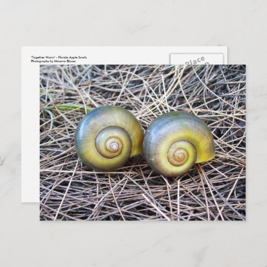 一緒に暖かい ポストカード (正面/裏面)