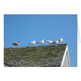 一緒に来て下さい