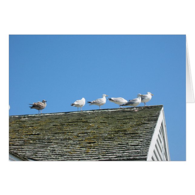 一緒に来て下さい (正面横)