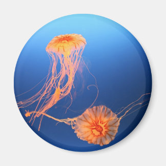 一緒に浮いている マグネット