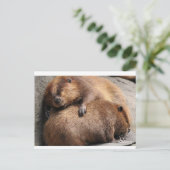 一緒に眠る2匹のビーバー ポストカード (スタンド正面)